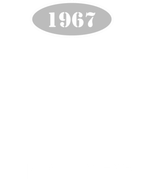 https://d1w8c6s6gmwlek.cloudfront.net/cargeektees.com/overlays/136/037/1360375.png img