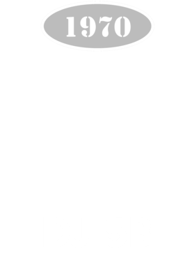 https://d1w8c6s6gmwlek.cloudfront.net/cargeektees.com/overlays/136/044/1360443.png img