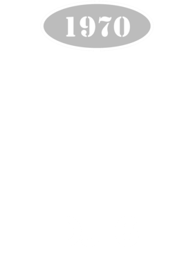 https://d1w8c6s6gmwlek.cloudfront.net/cargeektees.com/overlays/136/044/1360445.png img