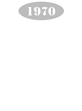 https://d1w8c6s6gmwlek.cloudfront.net/cargeektees.com/overlays/136/045/1360456.png img