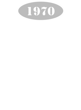 https://d1w8c6s6gmwlek.cloudfront.net/cargeektees.com/overlays/136/046/1360460.png img