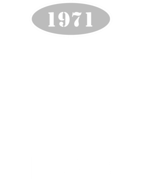 https://d1w8c6s6gmwlek.cloudfront.net/cargeektees.com/overlays/136/046/1360468.png img