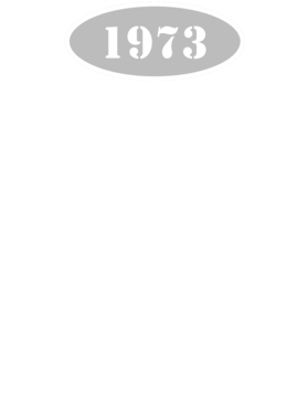 https://d1w8c6s6gmwlek.cloudfront.net/cargeektees.com/overlays/136/051/1360512.png img
