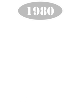 https://d1w8c6s6gmwlek.cloudfront.net/cargeektees.com/overlays/136/062/1360623.png img
