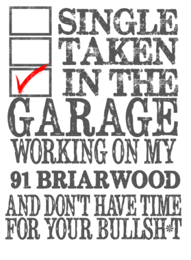 https://d1w8c6s6gmwlek.cloudfront.net/cargeektees.com/overlays/137/200/1372002.png img