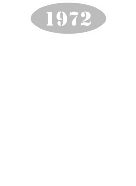 https://d1w8c6s6gmwlek.cloudfront.net/cargeektees.com/overlays/138/273/1382736.png img