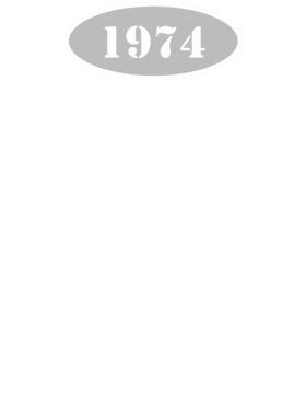 https://d1w8c6s6gmwlek.cloudfront.net/cargeektees.com/overlays/138/273/1382739.png img