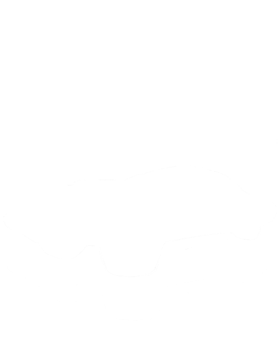 https://d1w8c6s6gmwlek.cloudfront.net/cargeektees.com/overlays/180/955/1809551.png img