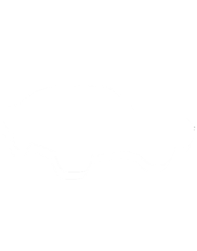 https://d1w8c6s6gmwlek.cloudfront.net/cargeektees.com/overlays/187/092/1870926.png img