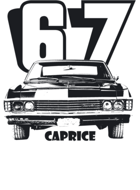 https://d1w8c6s6gmwlek.cloudfront.net/cargeektees.com/overlays/191/732/19173249.png img