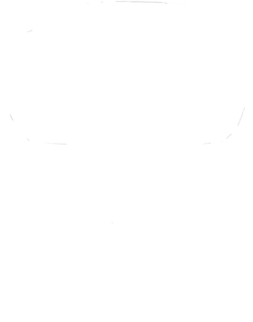 https://d1w8c6s6gmwlek.cloudfront.net/cargeektees.com/overlays/192/084/19208497.png img