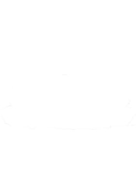 https://d1w8c6s6gmwlek.cloudfront.net/cargeektees.com/overlays/192/942/1929420.png img