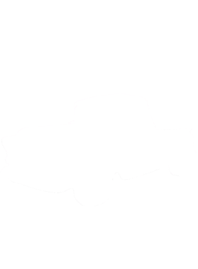 https://d1w8c6s6gmwlek.cloudfront.net/cargeektees.com/overlays/218/523/21852342.png img