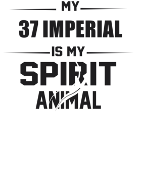 https://d1w8c6s6gmwlek.cloudfront.net/cargeektees.com/overlays/226/387/22638770.png img