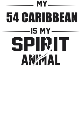 https://d1w8c6s6gmwlek.cloudfront.net/cargeektees.com/overlays/226/393/22639332.png img