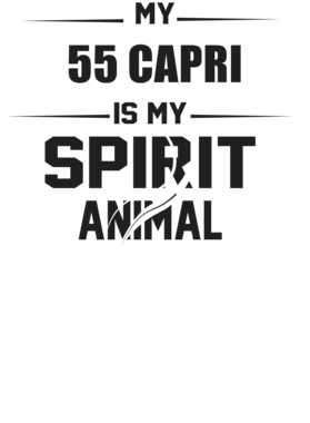 https://d1w8c6s6gmwlek.cloudfront.net/cargeektees.com/overlays/226/393/22639385.png img