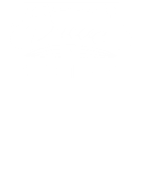 https://d1w8c6s6gmwlek.cloudfront.net/cargeektees.com/overlays/227/230/22723000.png img