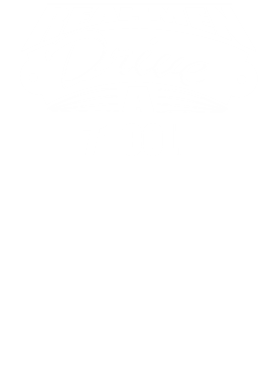 https://d1w8c6s6gmwlek.cloudfront.net/cargeektees.com/overlays/227/256/22725632.png img