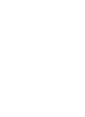 image overlay