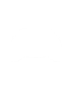 https://d1w8c6s6gmwlek.cloudfront.net/cargeektees.com/overlays/286/643/28664367.png img