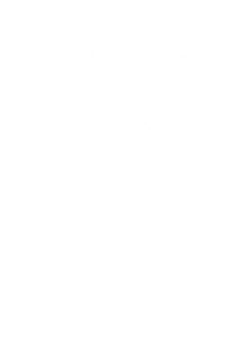 https://d1w8c6s6gmwlek.cloudfront.net/cargeektees.com/overlays/576/480/5764804.png img