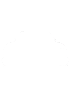 https://d1w8c6s6gmwlek.cloudfront.net/cargeektees.com/overlays/602/725/6027255.png img