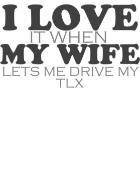 https://d1w8c6s6gmwlek.cloudfront.net/cargeektees.com/overlays/931/355/9313553.png img