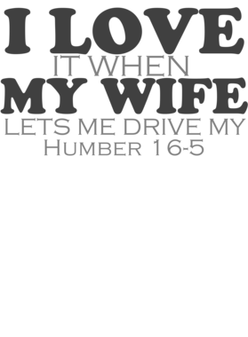 https://d1w8c6s6gmwlek.cloudfront.net/cargeektees.com/overlays/934/369/9343695.png img