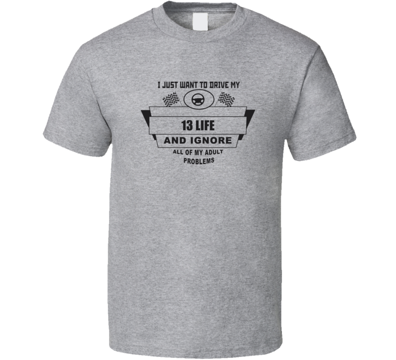 I Just Want To Drive My 2013 Life And Ignore All My Adult Problems Funny T Shirt