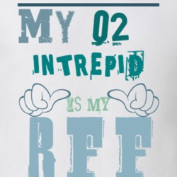 My 2002 Dodge Intrepid Is My BFF Funny T Shirt 1233861