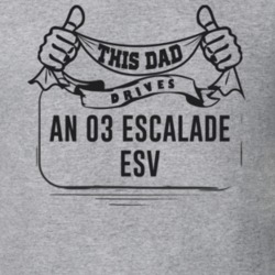 20568786