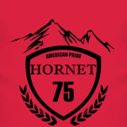 1975 AMC HORNET Beer Label Image T Shirt 2842718