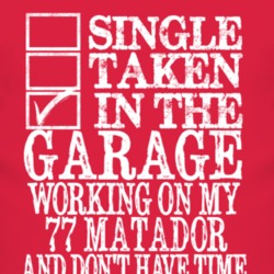 Single Taken In The Garage With 1977 AMC MATADOR T Shirt 2844207