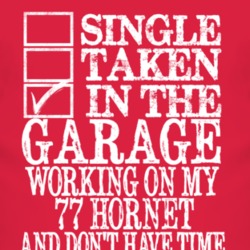 Single Taken In The Garage With 1977 AMC HORNET T Shirt 2844210