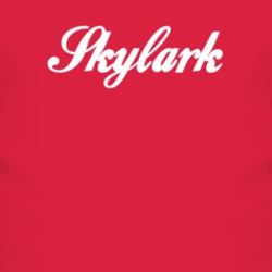 Buick Skylark Cola Font Parody Car Lover T Shirt 4820008