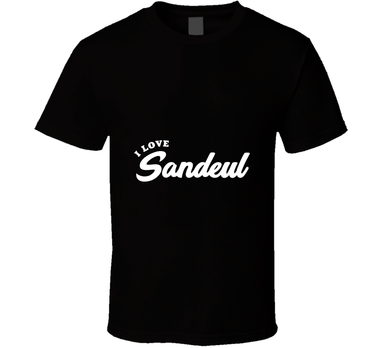 I Love Sandeul T Shirt