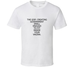 Amy Nielsen Inspired The Gop: Creating Government Small Enough To Fit Inside Your Vagina Funny T Shirt 33970436