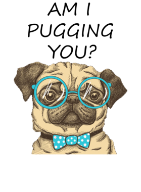 https://d1w8c6s6gmwlek.cloudfront.net/classictshirtshop.com/overlays/344/813/34481321.png img
