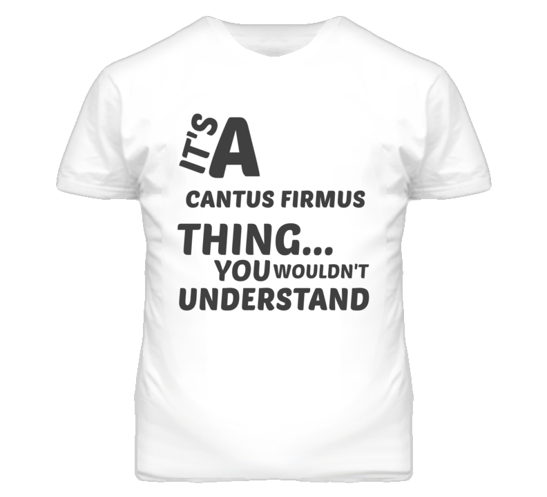 Cantus Firmus Thing You Wouldnt Understand Music T Shirt Cantus Firmus Thing You Wouldnt Understand Music T Shirt