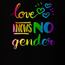 Love Knows No Gender Equality Gay Love Trumps Hate Political T Shirt 25409058