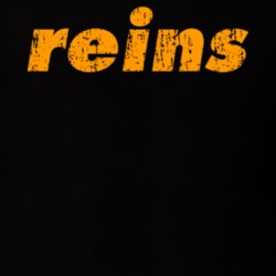 Reins Fishing Lover Products Cool Gift Worn Look T Shirt 26053544