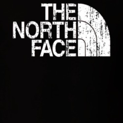 The North Face Camping Outdoors Lover Cool Trendy Worn Look T Shirt 26055678