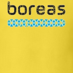 Boreas Camping Outdoors Lover Cool Worn Look T Shirt 26057558