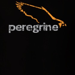 Peregrine Camping Outdoors Lover Cool Worn Look T Shirt 26057607