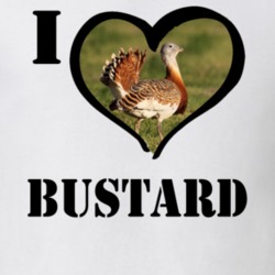 Great Bustard Bird Lover Bird Watching Cool Funny Gift T Shirt 26192113