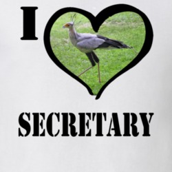 Secretary Bird Bird Lover Bird Watching Cool Funny Gift T Shirt 26192115