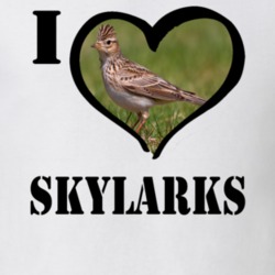 Eurasian Skylark Bird Lover Bird Watching Cool Funny Gift T Shirt 26192118