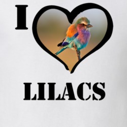 Lilac breasted Roller Bird Lover Bird Watching Cool Funny Gift T Shirt 26192120