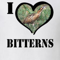 Eurasian Bittern Bird Lover Bird Watching Cool Funny Gift T Shirt 26192123