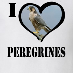 Peregrine Bird Lover Bird Watching Cool Funny Gift T Shirt 26192125
